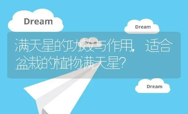 满天星的功效与作用,适合盆栽的植物满天星？ | 养殖常见问题