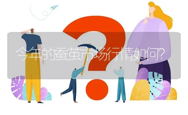 今年的蚕茧市场行情如何? | 养殖问题解答