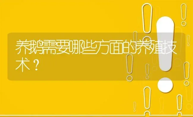 养鹅需要哪些方面的养殖技术? | 养殖问题解答