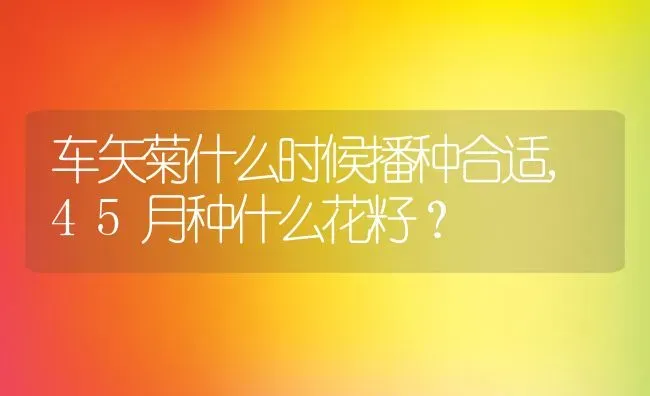 车矢菊什么时候播种合适,45月种什么花籽？ | 养殖常见问题