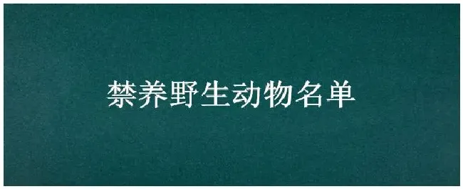 禁养野生动物名单 | 农业常识