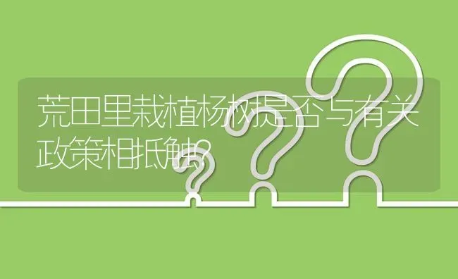 荒田里栽植杨树是否与有关政策相抵触? | 养殖问题解答