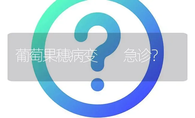 葡萄果穗病变  急诊? | 养殖问题解答