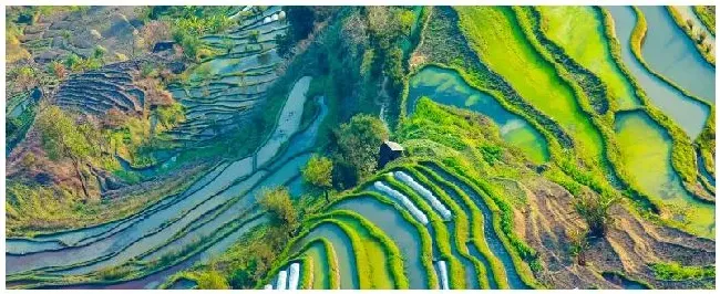 风化石土壤适合种植什么 | 三农答疑