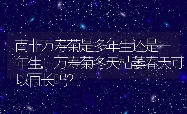 南非万寿菊是多年生还是一年生,万寿菊冬天枯萎春天可以再长吗？ | 养殖常见问题