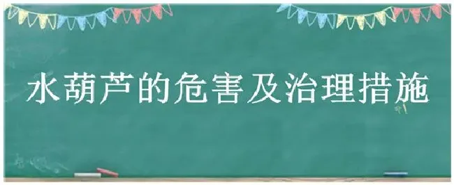 水葫芦的危害及治理措施 | 三农问答