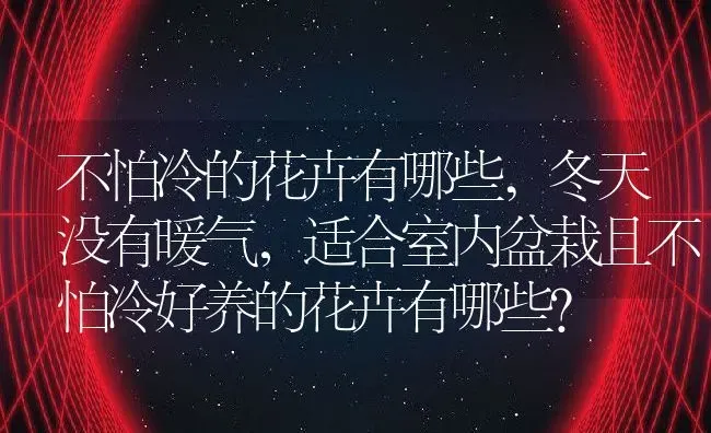 不怕冷的花卉有哪些,冬天没有暖气，适合室内盆栽且不怕冷好养的花卉有哪些？ | 养殖常见问题