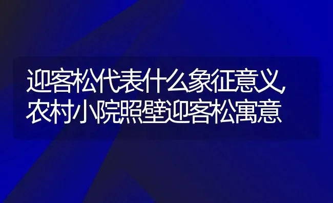 迎客松代表什么象征意义,农村小院照壁迎客松寓意 | 养殖常见问题