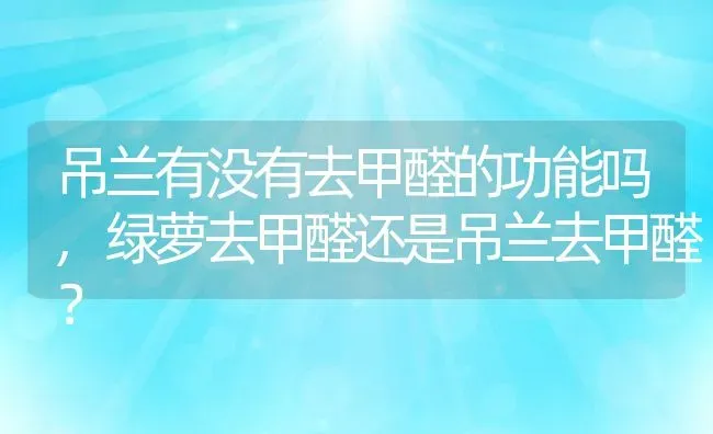 吊兰有没有去甲醛的功能吗,绿萝去甲醛还是吊兰去甲醛？ | 养殖常见问题