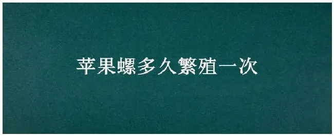 苹果螺多久繁殖一次 | 三农问答