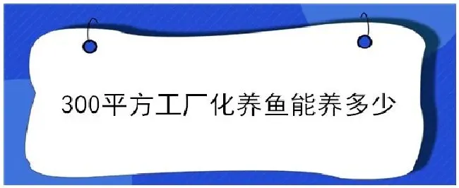 300平方工厂化养鱼能养多少 | 农业问题