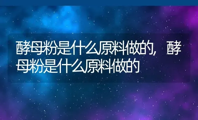 酵母粉是什么原料做的,酵母粉是什么原料做的 | 养殖常见问题