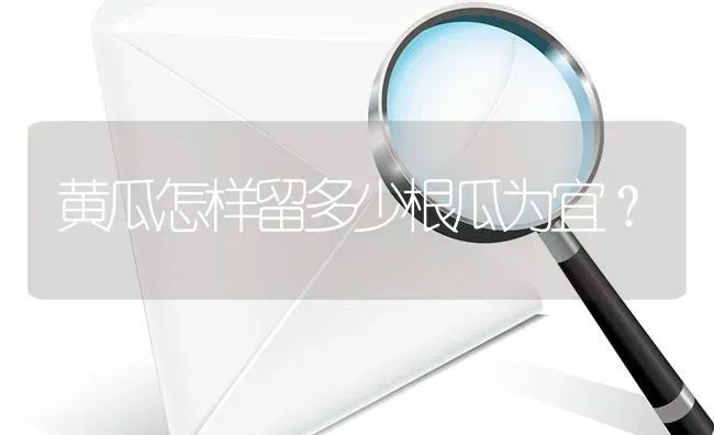 黄瓜怎样留多少根瓜为宜? | 养殖问题解答