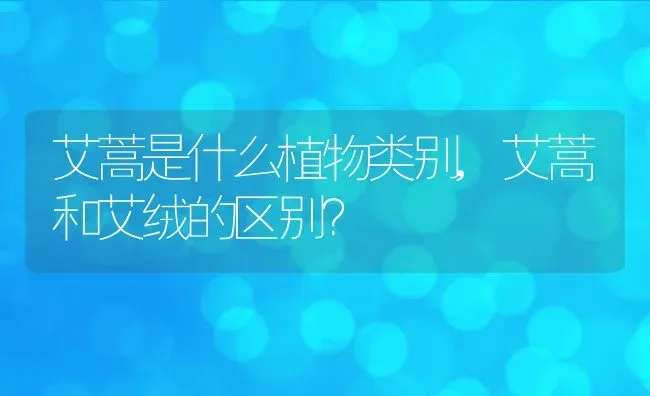 艾蒿是什么植物类别,艾蒿和艾绒的区别？ | 养殖常见问题
