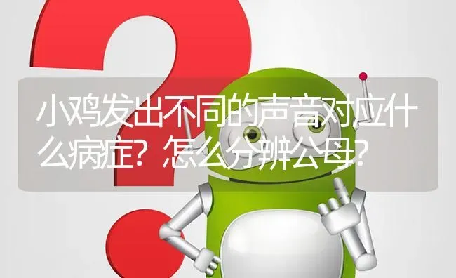 小鸡发出不同的声音对应什么病症?怎么分辨公母? | 养殖问题解答