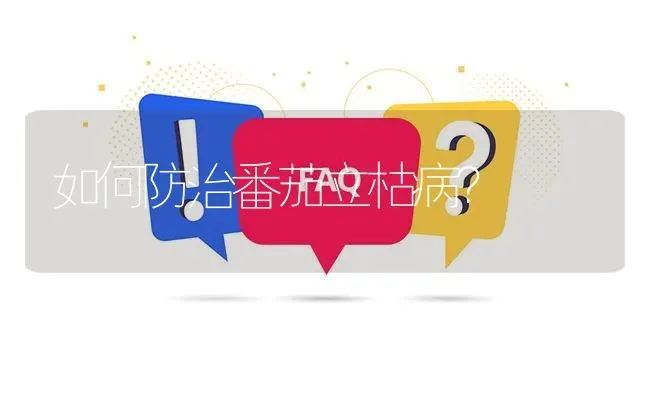 如何防治番茄立枯病? | 养殖问题解答