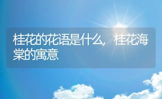 桂花的花语是什么,桂花海棠的寓意 | 养殖常见问题