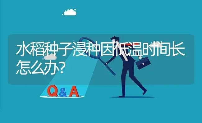 水稻种子浸种因低温时间长怎么办? | 养殖问题解答