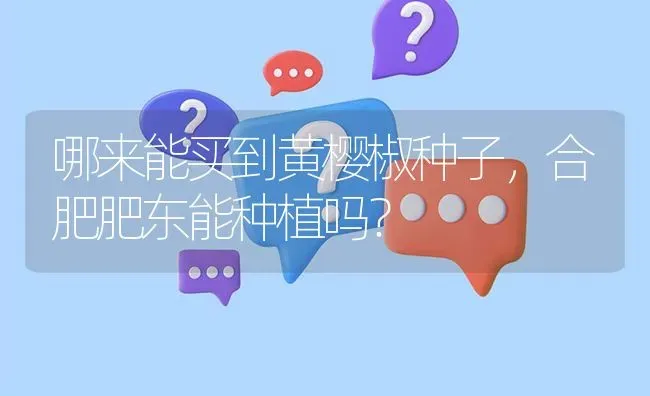 哪来能买到黄樱椒种子,合肥肥东能种植吗? | 养殖问题解答