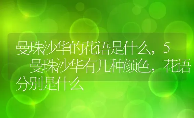 曼珠沙华的花语是什么,5 曼珠沙华有几种颜色，花语分别是什么 | 养殖常见问题