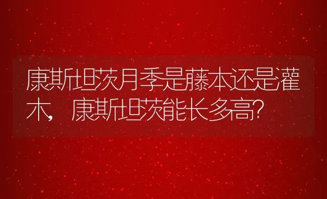 康斯坦茨月季是藤本还是灌木,康斯坦茨能长多高？ | 养殖常见问题