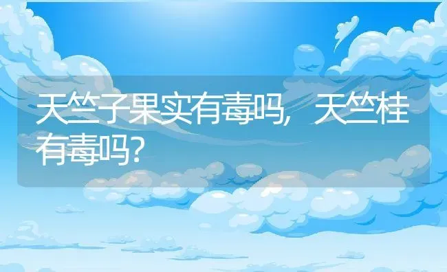天竺子果实有毒吗,天竺桂有毒吗？ | 养殖常见问题