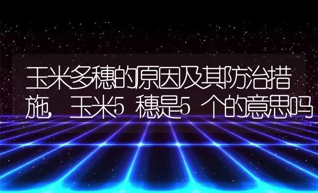 玉米多穗的原因及其防治措施,玉米5穗是5个的意思吗 | 养殖常见问题