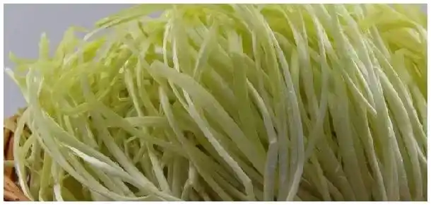 韭黄跟韭菜是不是一个品种 | 农业问题