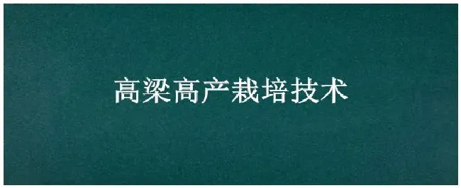 高梁高产栽培技术 | 农业答疑