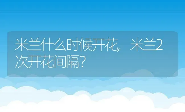 米兰什么时候开花,米兰2次开花间隔？ | 养殖常见问题