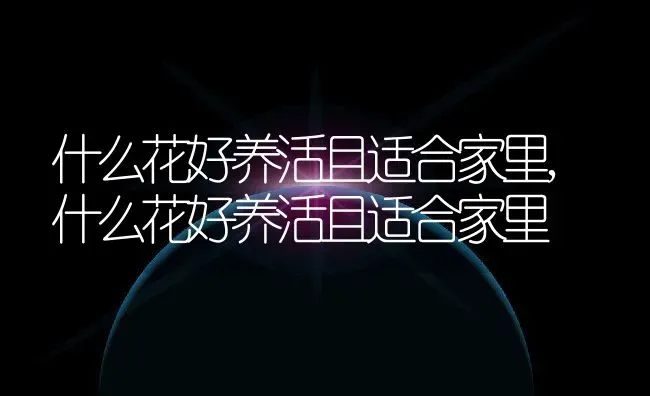 什么花好养活且适合家里,什么花好养活且适合家里 | 养殖常见问题