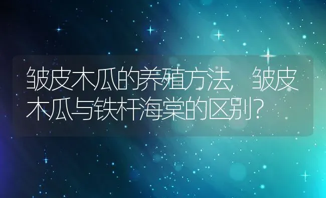 皱皮木瓜的养殖方法,皱皮木瓜与铁杆海棠的区别？ | 养殖常见问题