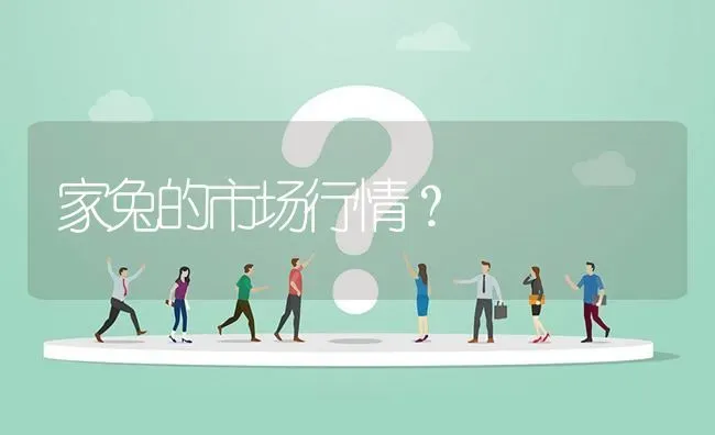 家兔的市场行情? | 养殖问题解答