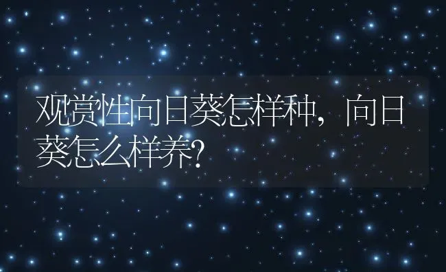 观赏性向日葵怎样种,向日葵怎么样养？ | 养殖常见问题