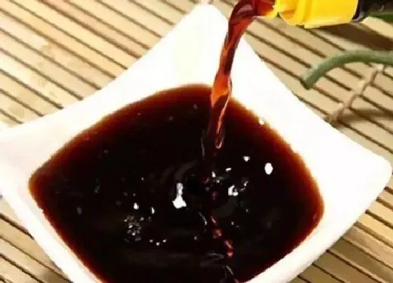 植物常识问题|食用醋如何养长寿花