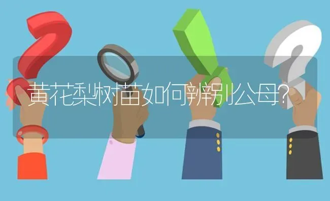 黄花梨树苗如何辨别公母? | 养殖问题解答