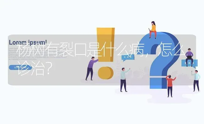 杨树有裂口是什么病,怎么诊治? | 养殖问题解答