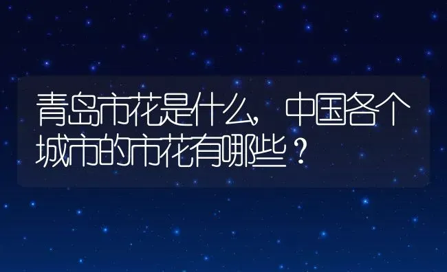 青岛市花是什么,中国各个城市的市花有哪些？ | 养殖常见问题