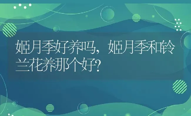 姬月季好养吗,姬月季和铃兰花养那个好？ | 养殖常见问题