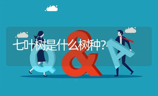 七叶树是什么树种? | 养殖问题解答