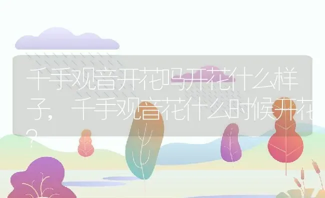 千手观音开花吗开花什么样子,千手观音花什么时候开花？ | 养殖常见问题