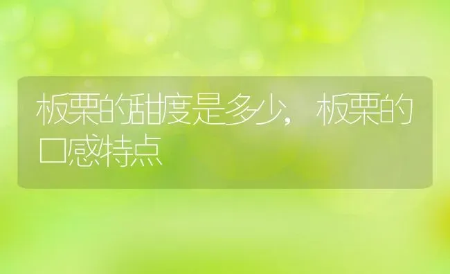 板栗的甜度是多少,板栗的口感特点 | 养殖常见问题