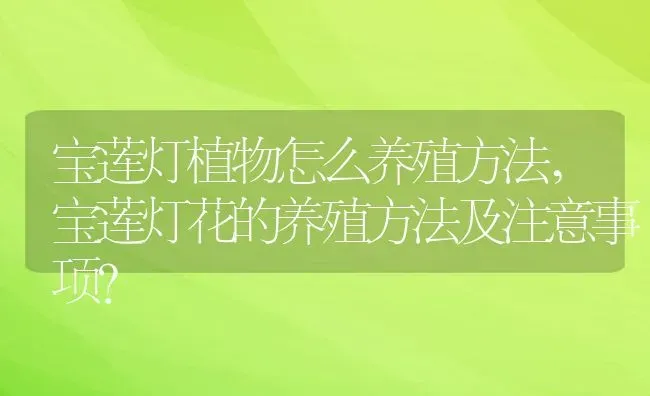 宝莲灯植物怎么养殖方法,宝莲灯花的养殖方法及注意事项？ | 养殖常见问题