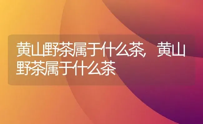 黄山野茶属于什么茶,黄山野茶属于什么茶 | 养殖常见问题