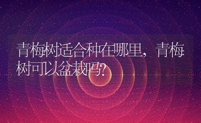 青梅树适合种在哪里,青梅树可以盆栽吗？ | 养殖常见问题