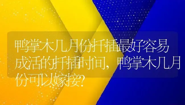 常见的厚脸皮植物有哪些,短文厚脸皮第四自然段是围绕厚脸皮的什么来写的？ | 养殖常见问题