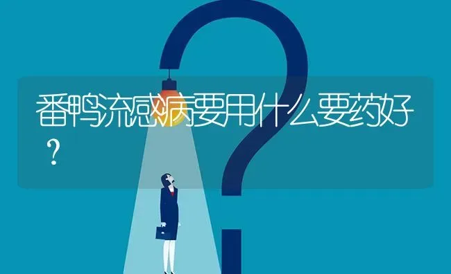 番鸭流感病要用什么要药好? | 养殖问题解答