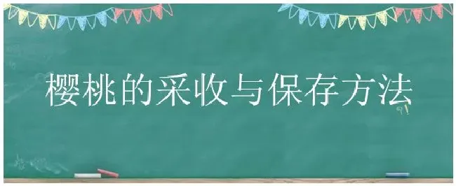 樱桃的采收与保存方法 | 农业问题