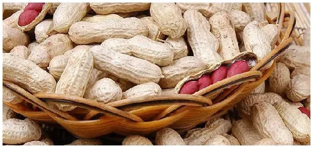 花生地除草剂用什么药 | 农业问题