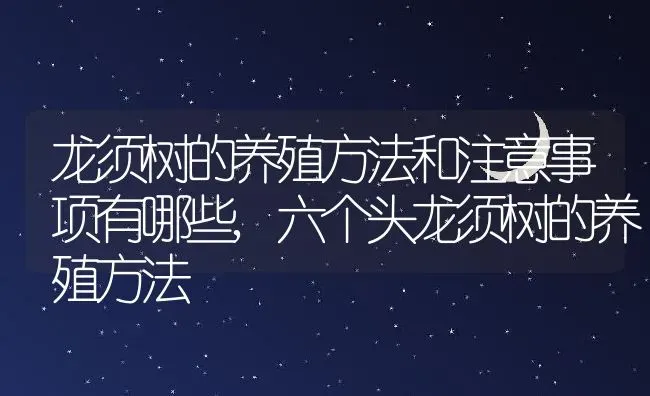 龙须树的养殖方法和注意事项有哪些,六个头龙须树的养殖方法 | 养殖常见问题